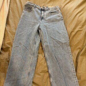 Everlane The Way-High Jean | Size 29 Regular | Low Stretch | Vintage Wash | NWT